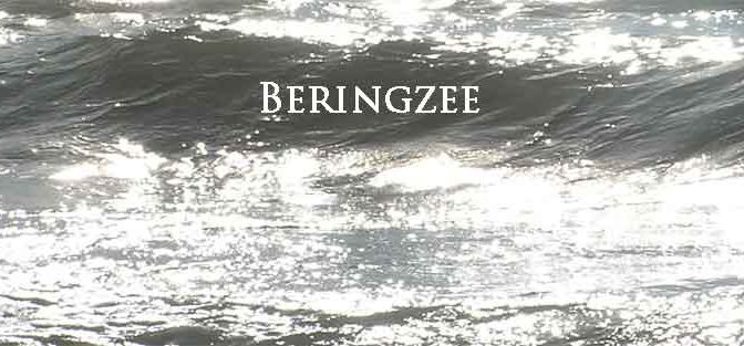 Beringzee Eilanden