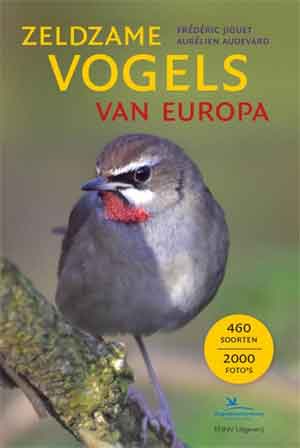 Zeldzame Vogels in Nederland Dwaalgasten